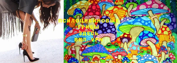 PSILOCYBIN Абдулино