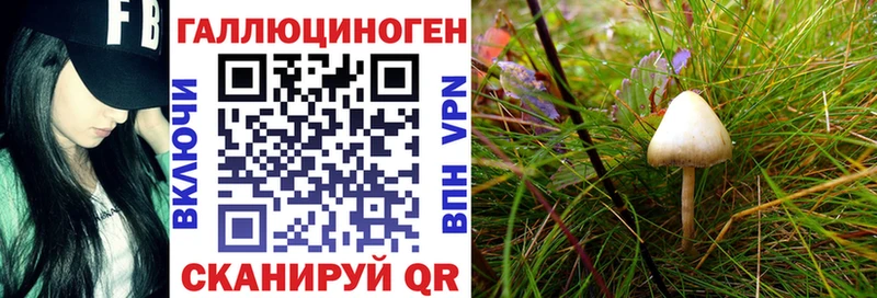 Псилоцибиновые грибы прущие грибы  Партизанск 